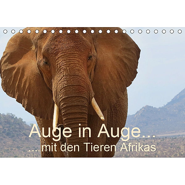 Auge in Auge mit den Tieren Afrikas (Tischkalender 2019 DIN A5 quer), Brigitte Dürr