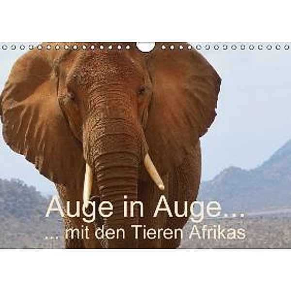 Auge in Auge mit den Tieren Afrikas (Wandkalender 2015 DIN A4 quer), Brigitte Dürr