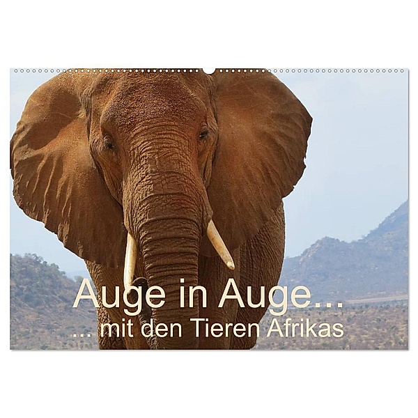 Auge in Auge mit den Tieren Afrikas (Wandkalender 2024 DIN A2 quer), CALVENDO Monatskalender, Brigitte Dürr