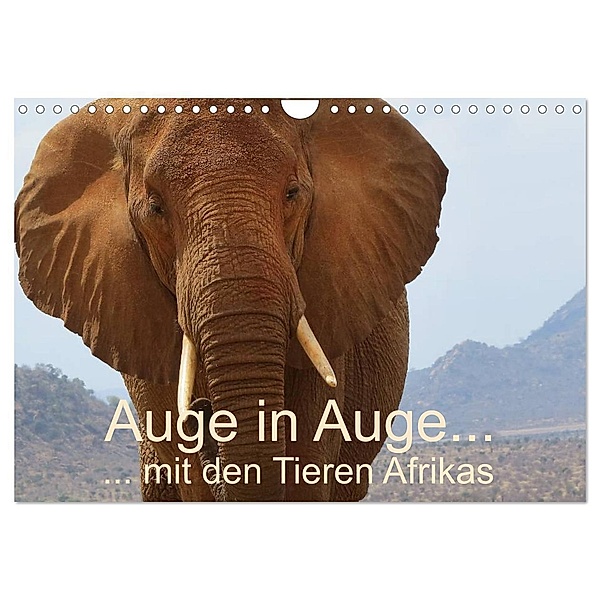 Auge in Auge mit den Tieren Afrikas (Wandkalender 2024 DIN A4 quer), CALVENDO Monatskalender, Brigitte Dürr