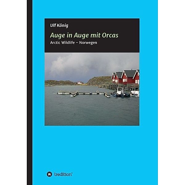 Auge in Auge mit Orcas, Ulf König