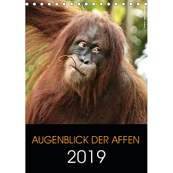 Augenblick der Affen 2019 (Tischkalender 2019 DIN A5 hoch), © Mirko Weigt