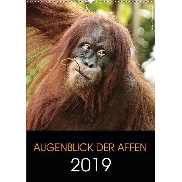Augenblick der Affen 2019 (Wandkalender 2019 DIN A2 hoch), © Mirko Weigt