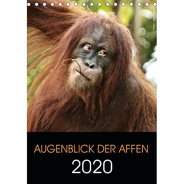 Augenblick der Affen 2020 (Tischkalender 2020 DIN A5 hoch), © Mirko Weigt