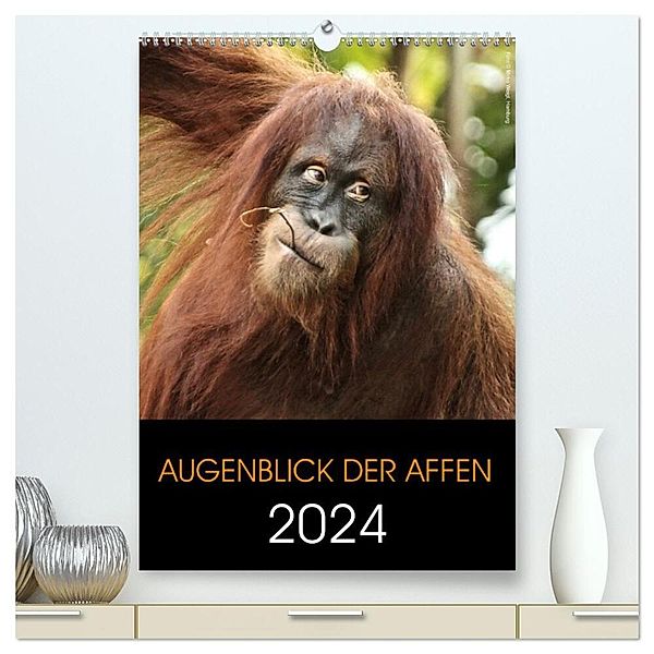 Augenblick der Affen 2024 (hochwertiger Premium Wandkalender 2024 DIN A2 hoch), Kunstdruck in Hochglanz, Hamburg, © Mirko Weigt