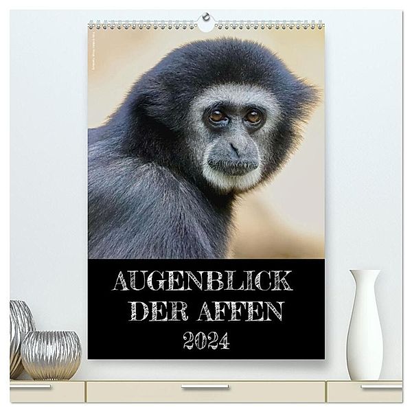 Augenblick der Affen 2024 (hochwertiger Premium Wandkalender 2024 DIN A2 hoch), Kunstdruck in Hochglanz, Hamburg, © Mirko Weigt