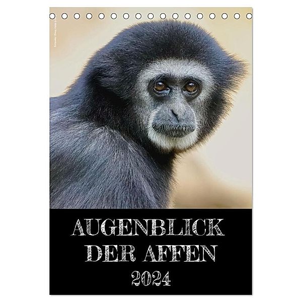 Augenblick der Affen 2024 (Tischkalender 2024 DIN A5 hoch), CALVENDO Monatskalender, Hamburg, © Mirko Weigt