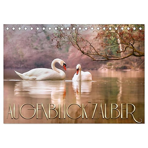 AUGENBLICK ZAUBER (Tischkalender 2025 DIN A5 quer), CALVENDO Monatskalender, Calvendo, Caros Foto Linse