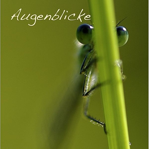 Augenblicke, Richard Knapp, Susanne Anna Grieser-Knapp