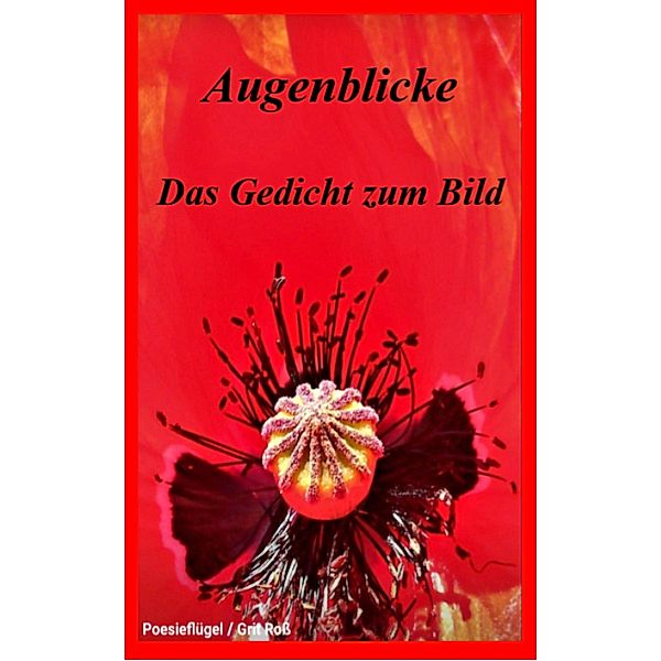 Augenblicke - Das Gedicht zum Bild, Grit Ross