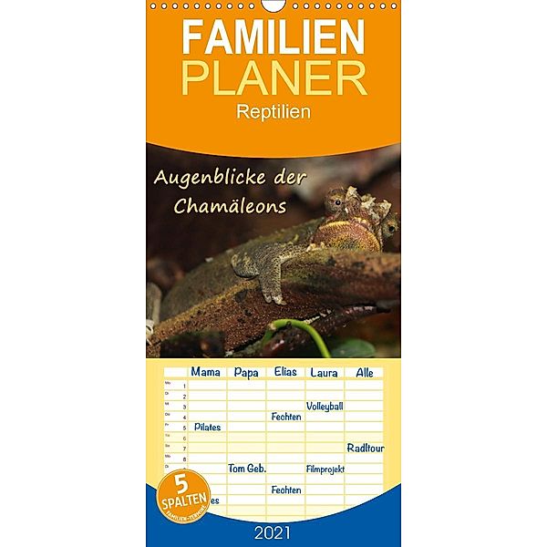 Augenblicke der Chamäleons - Familienplaner hoch (Wandkalender 2021 , 21 cm x 45 cm, hoch), Chawera