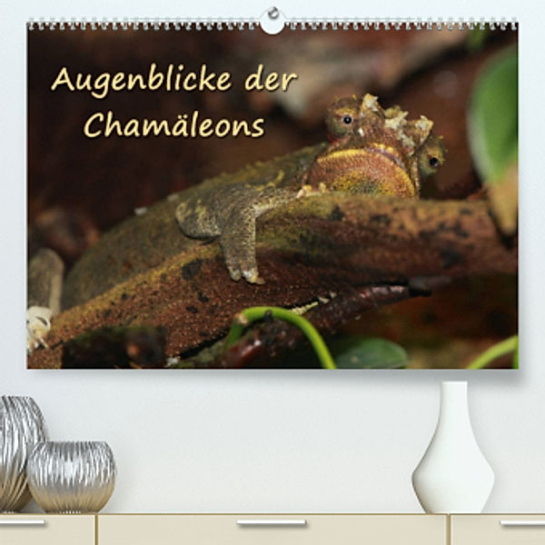 Augenblicke der Chamäleons (Premium, hochwertiger DIN A2 Wandkalender 2022, Kunstdruck in Hochglanz), Chawera