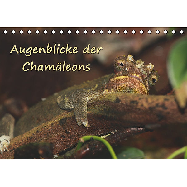 Augenblicke der Chamäleons (Tischkalender 2019 DIN A5 quer), Chawera