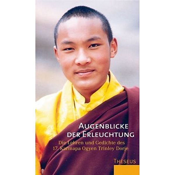 Augenblicke der Erleuchtung, Karmapa Ogyen Trinley Dorje