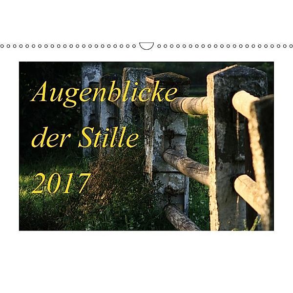 Augenblicke der Stille 2017 (Wandkalender 2017 DIN A3 quer), Heike Loß