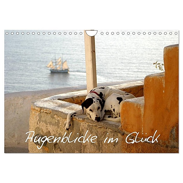 Augenblicke im Glück (Wandkalender 2025 DIN A4 quer), CALVENDO Monatskalender, Calvendo, Alexandra Loos - www.shabbyflair.de