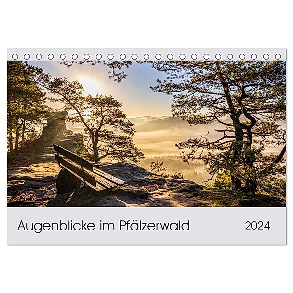 Augenblicke im Pfälzerwald (Tischkalender 2024 DIN A5 quer), CALVENDO Monatskalender, Patricia Flatow