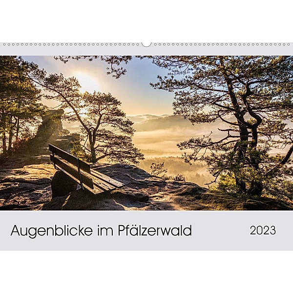 Augenblicke im Pfälzerwald (Wandkalender 2023 DIN A2 quer), Patricia Flatow