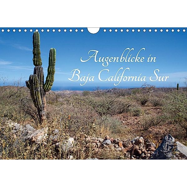 Augenblicke in Baja California Sur (Wandkalender 2020 DIN A4 quer), Marion Schilling, Thomas Schilling