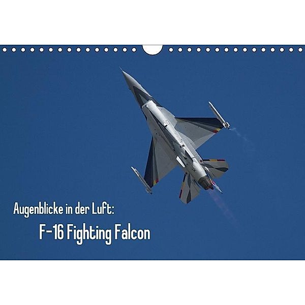 Augenblicke in der Luft: F-16 Fighting Falcon (Wandkalender 2017 DIN A4 quer), Aleksandar Prokic