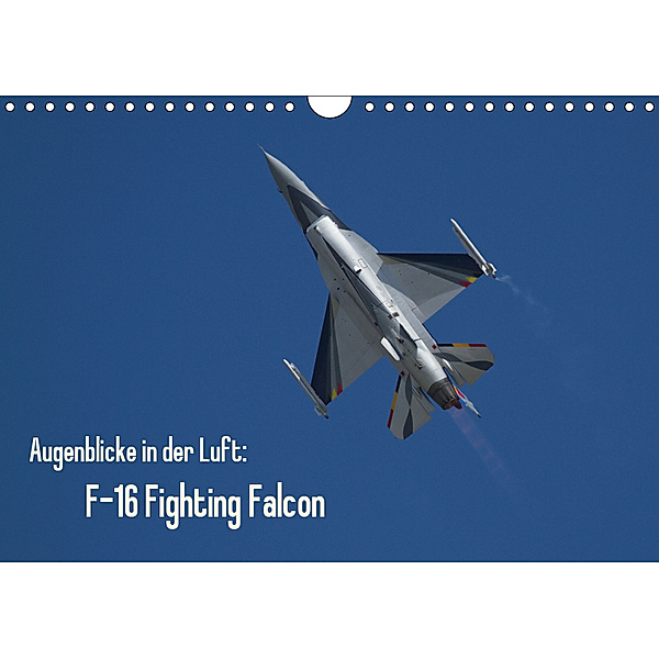 Augenblicke in der Luft: F-16 Fighting Falcon (Wandkalender 2019 DIN A4 quer), Aleksandar Prokic