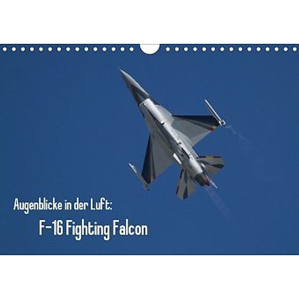 Augenblicke in der Luft: F-16 Fighting Falcon (Wandkalender 2020 DIN A4 quer), Aleksandar Prokic