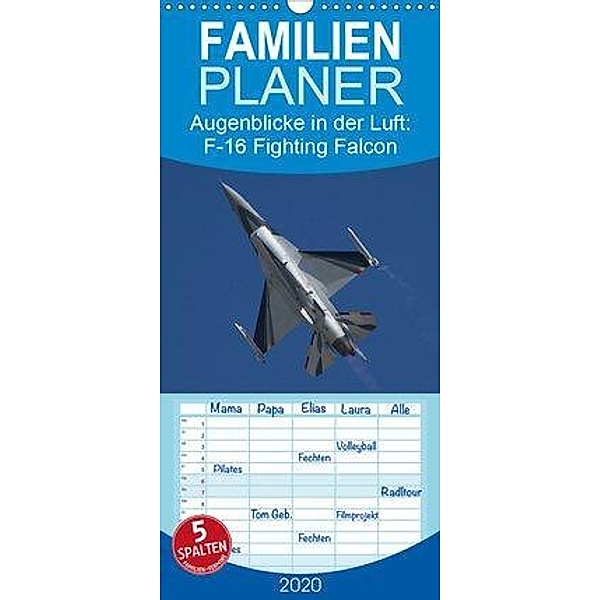 Augenblicke in der Luft: F-16 Fighting Falcon - Familienplaner hoch (Wandkalender 2020 , 21 cm x 45 cm, hoch), Aleksandar Prokic