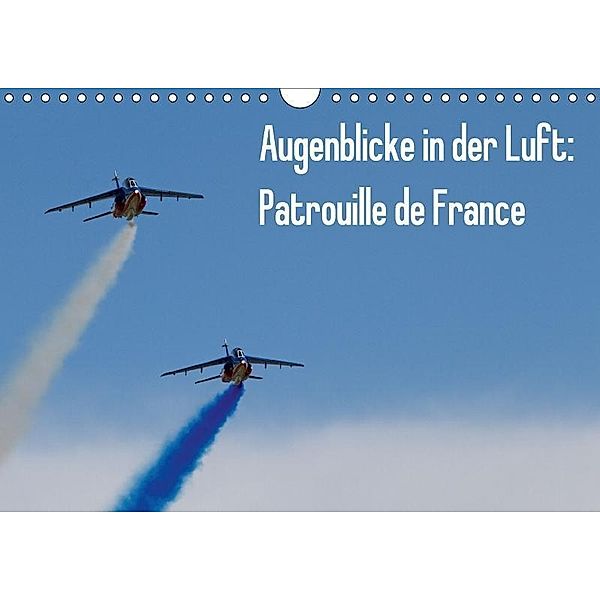 Augenblicke in der Luft: Patrouille de France (Wandkalender 2017 DIN A4 quer), Aleksandar Prokic