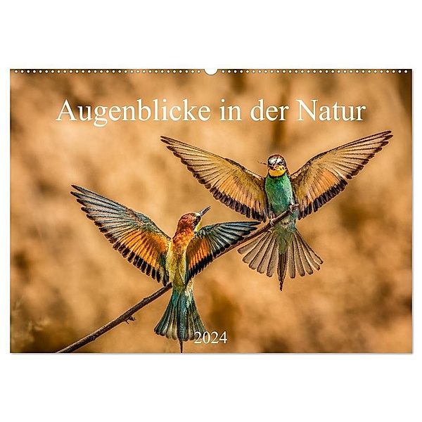 Augenblicke in der Natur (Wandkalender 2024 DIN A2 quer), CALVENDO Monatskalender, Philipp Masserer