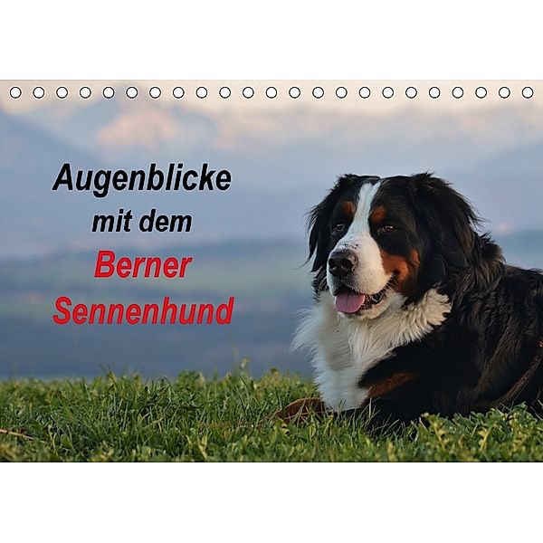 Augenblicke mit dem Berner Sennenhund (Tischkalender 2018 DIN A5 quer), Hubert Hunscheidt