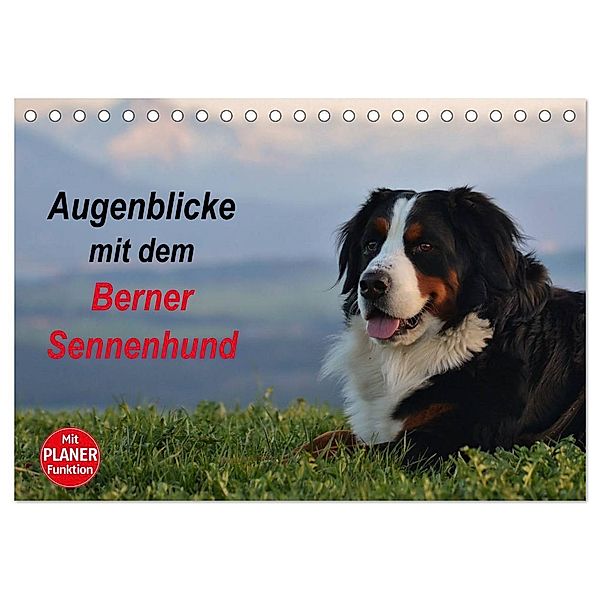 Augenblicke mit dem Berner Sennenhund (Tischkalender 2024 DIN A5 quer), CALVENDO Monatskalender, Hubert Hunscheidt