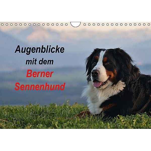 Augenblicke mit dem Berner Sennenhund (Wandkalender 2019 DIN A4 quer), Hubert Hunscheidt