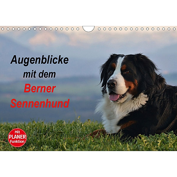 Augenblicke mit dem Berner Sennenhund (Wandkalender 2020 DIN A4 quer), Hubert Hunscheidt