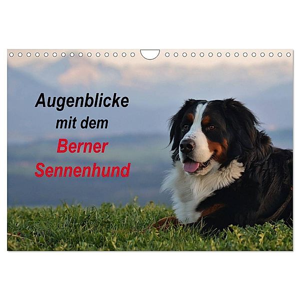 Augenblicke mit dem Berner Sennenhund (Wandkalender 2025 DIN A4 quer), CALVENDO Monatskalender, Calvendo, Hubert Hunscheidt