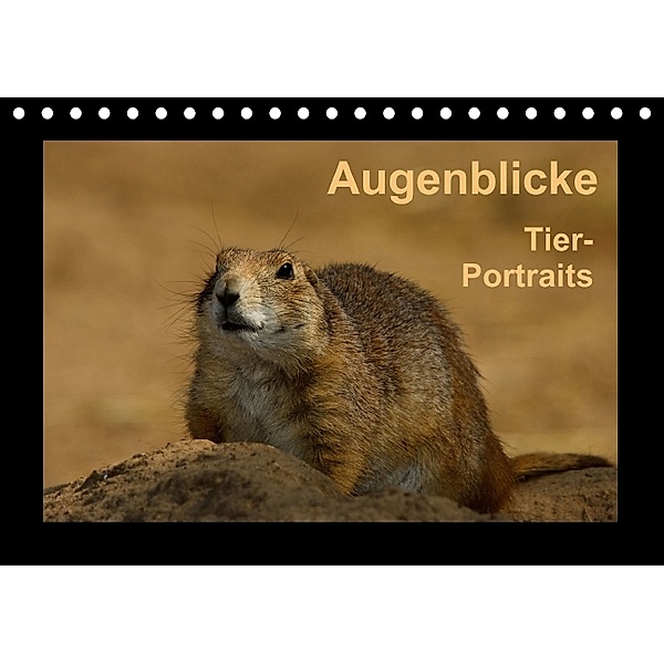 Augenblicke - Tierportraits (Tischkalender 2014 DIN A5 quer), Dirk Grasse
