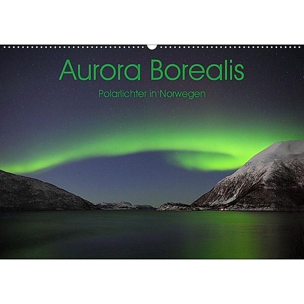 Aurora Borealis: Polarlichter in Norwegen (Wandkalender 2020 DIN A2 quer), Elmar Weiss