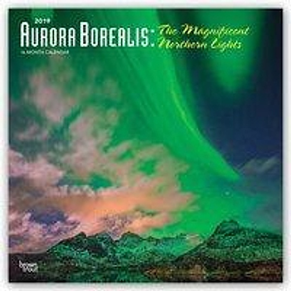 Aurora Borealis the Magnificent Northern Lights 2019 Square Foil, Inc Browntrout Publishers