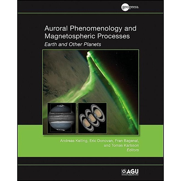 Auroral Phenomenology and Magnetospheric Processes / Geophysical Monograph Series Bd.197