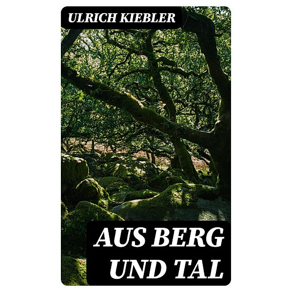 Aus Berg und Tal, Ulrich Kiebler