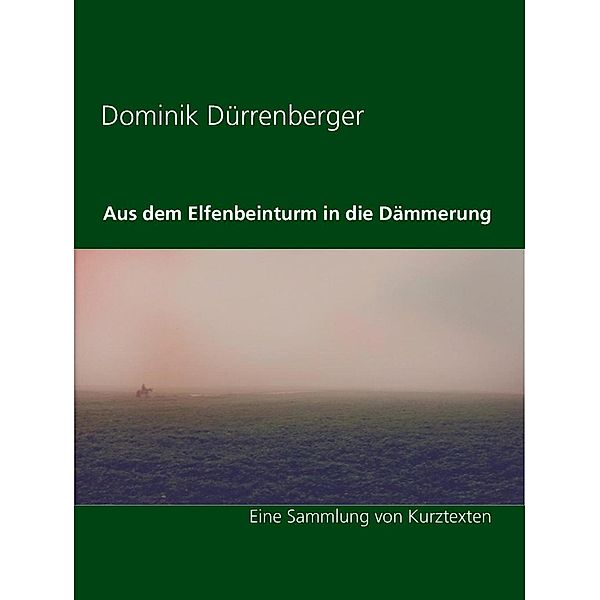 Aus dem Elfenbeinturm in die Dämmerung, Dominik Dürrenberger