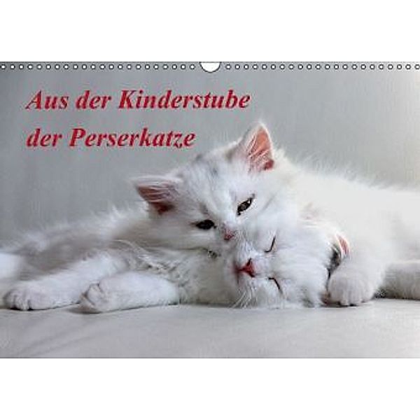 Aus der Kinderstube der Perserkatze / AT-Version (Wandkalender 2015 DIN A3 quer), Arno Klatt