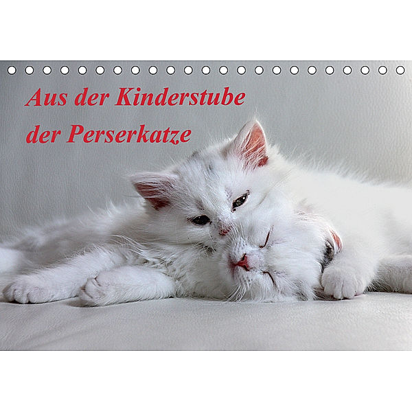 Aus der Kinderstube der Perserkatze (Tischkalender 2019 DIN A5 quer), Arno Klatt