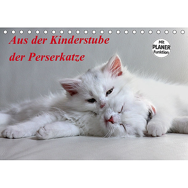 Aus der Kinderstube der Perserkatze (Tischkalender 2019 DIN A5 quer), Arno Klatt