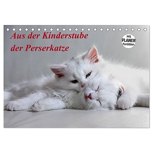 Aus der Kinderstube der Perserkatze (Tischkalender 2025 DIN A5 quer), CALVENDO Monatskalender, Calvendo, Arno Klatt