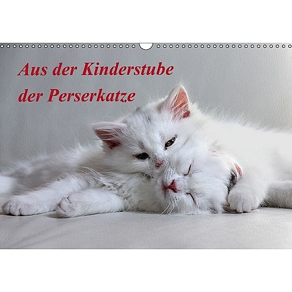 Aus der Kinderstube der Perserkatze (Wandkalender 2014 DIN A3 quer), Arno Klatt