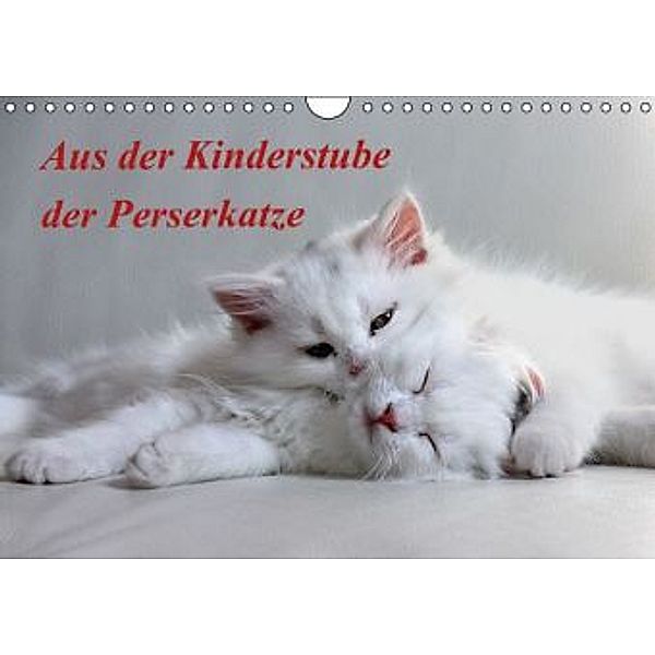 Aus der Kinderstube der Perserkatze (Wandkalender 2016 DIN A4 quer), Arno Klatt