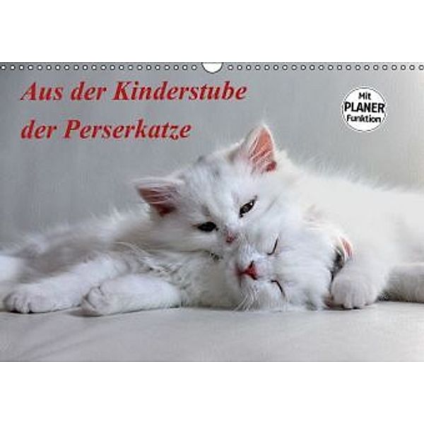 Aus der Kinderstube der Perserkatze (Wandkalender 2016 DIN A3 quer), Arno Klatt