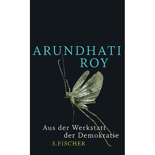 Aus der Werkstatt der Demokratie, Arundhati Roy