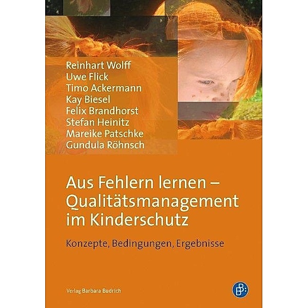 Aus Fehlern lernen - Qualitätsmanagement im Kinderschutz, Timo Ackermann, Reinhart Wolff, Uwe Flick, Kay Biesel