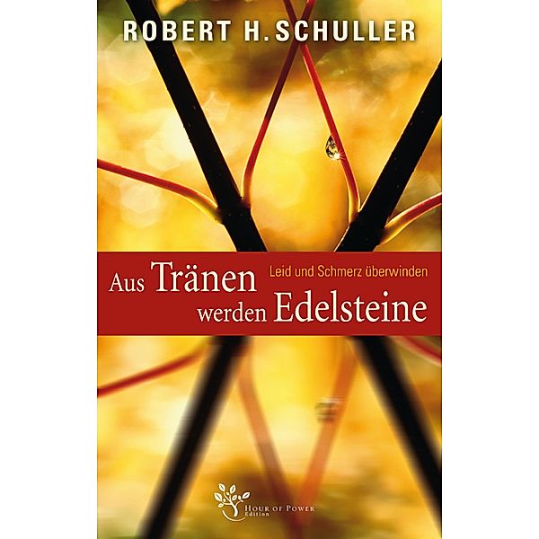 Aus Tränen werden Edelsteine, Robert Harold Schuller